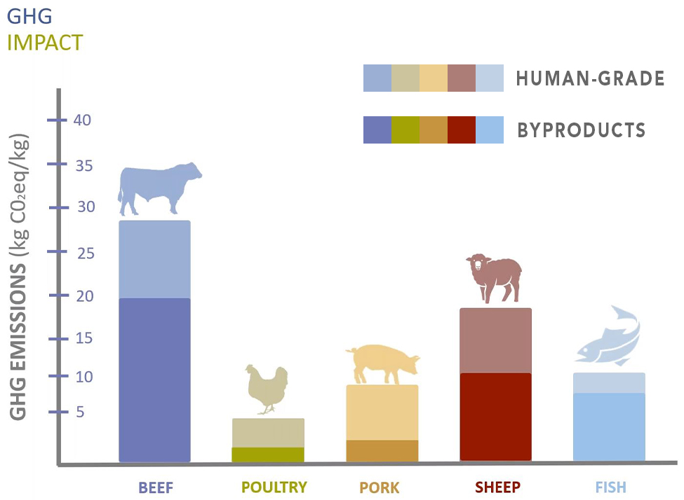 Animal proteins' greenhouse gas impacts