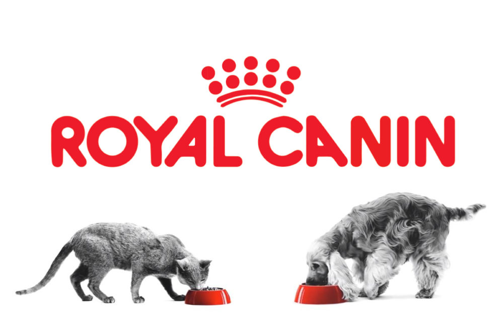 Royal Canin promotes Dr. Brent Mayabb to global chief medical officer