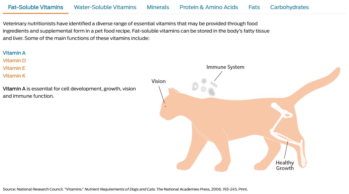 Interactive infographic of cat nutrition by Pet Food Institute