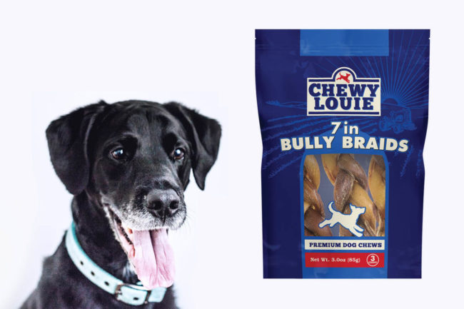Dog panting while looking at bag of Chewy Louie bully braids