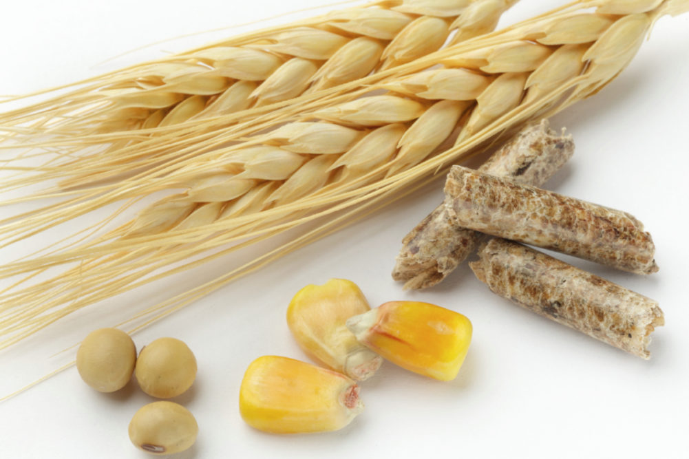 Agricultural products: corn, wheat, feed and soybeans (©STOCKR - STOCK.ADOBE.COM)