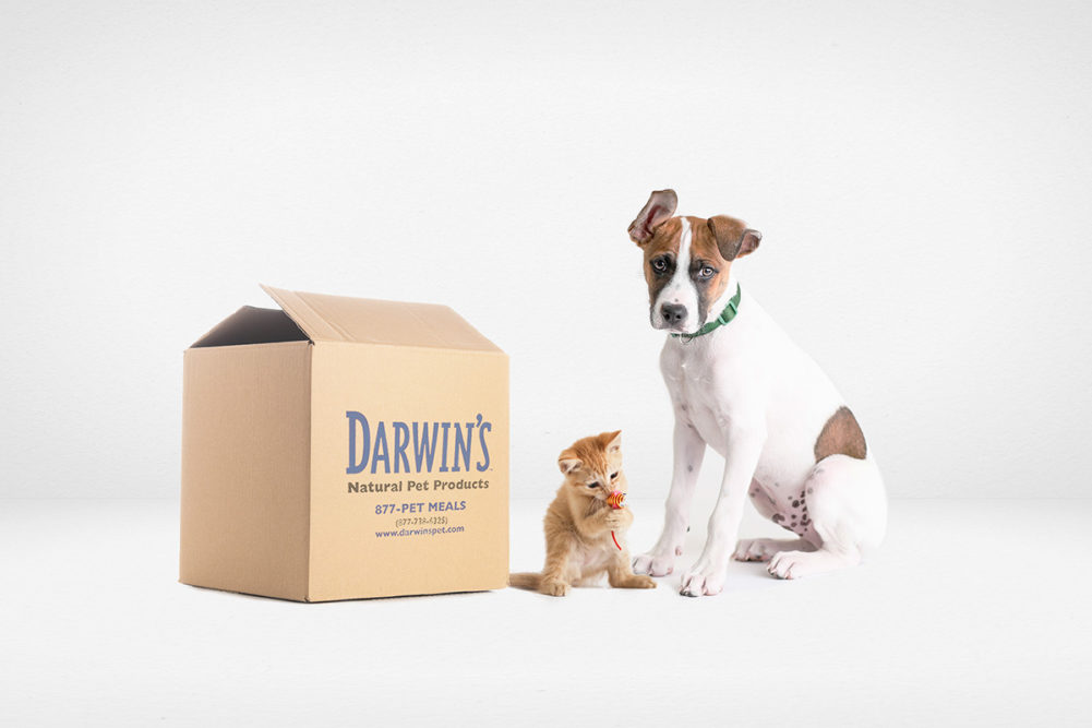 Box of Darwin's Natural Pet Products next to a cat and dog
