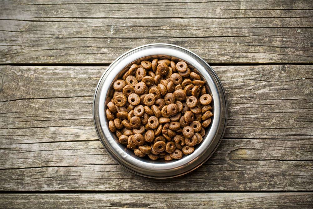 Bowl of kibble pet food on wooden floor (©STOCKR - STOCK.ADOBE.COM)