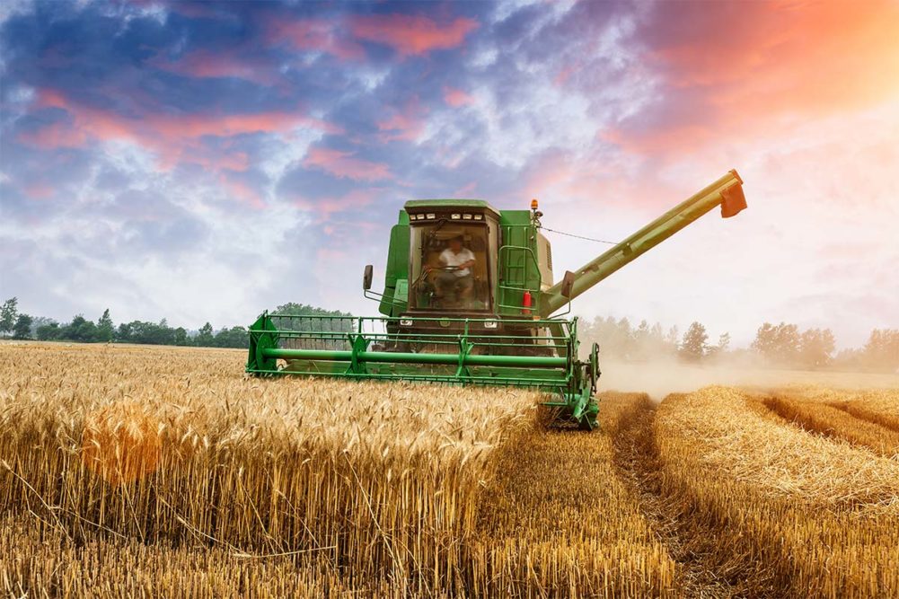Tractor on wheat farm (©STOCKR - STOCK.ADOBE.COM)