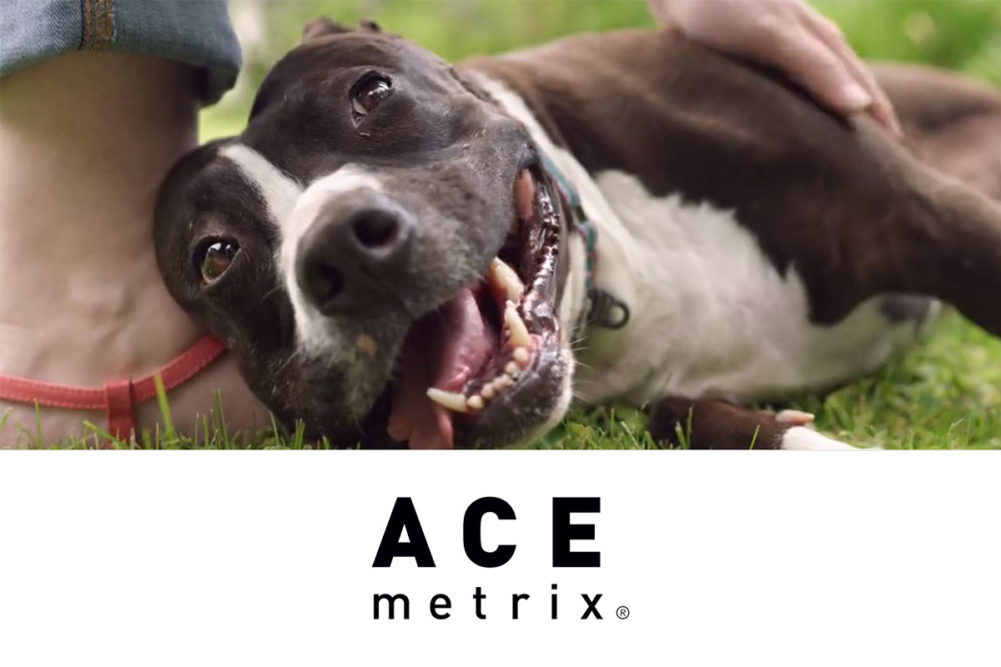 Clip from Freshpet's "Story of Princess" video advertisement, Ace Metrix logo