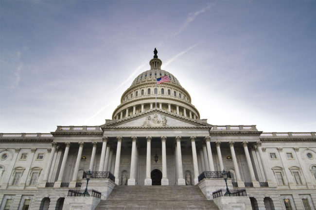 US Capitol (©STOCKR - STOCK.ADOBE.COM)