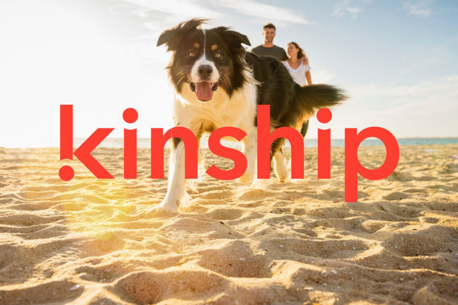 Mars Petcare's newest business division, Kinship