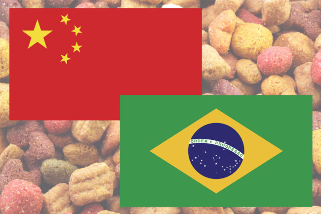 Brazilian flag, Chinese flag and dry kibble pet food in background