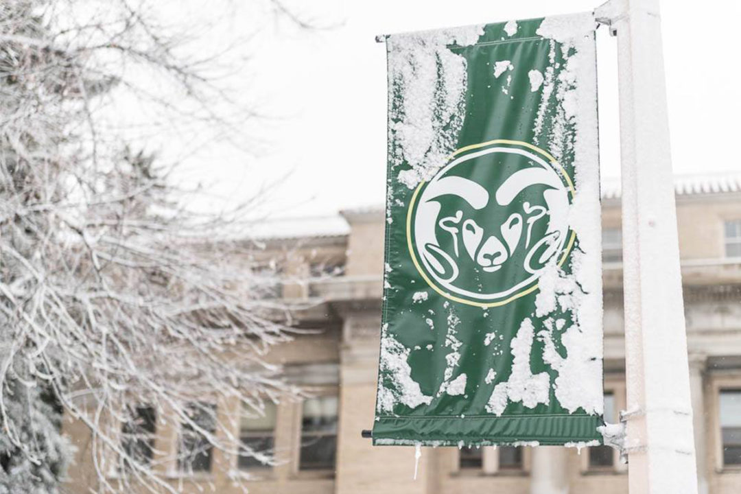 Wintery scene at Colorado State University campus