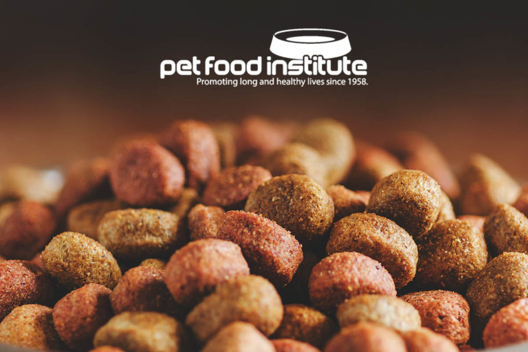 Pet Food Institute logo and kibble pet food (Source: ©STOCKR - STOCK.ADOBE.COM)