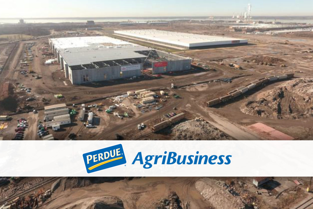 Perdue Agribusiness' new organic grain facility, Port of Baltimore, Maryland