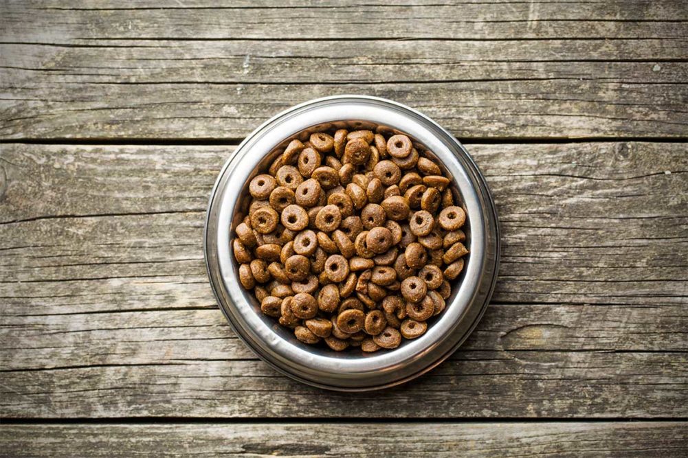 A bowl of dry kibble pet food (©STOCKR - STOCK.ADOBE.COM)