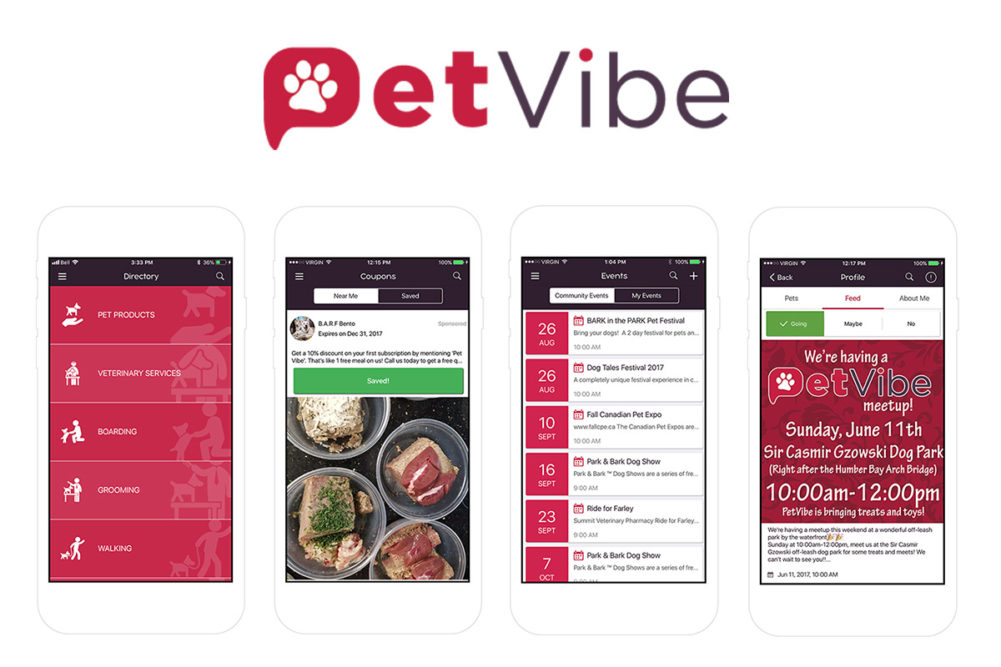 PetVibe logo and slogan with pets