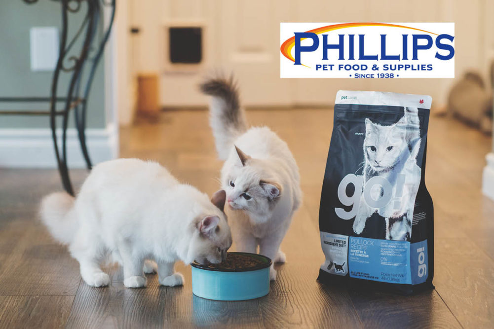 Cats enjoying Petcurean GO LID food and Phillips logo