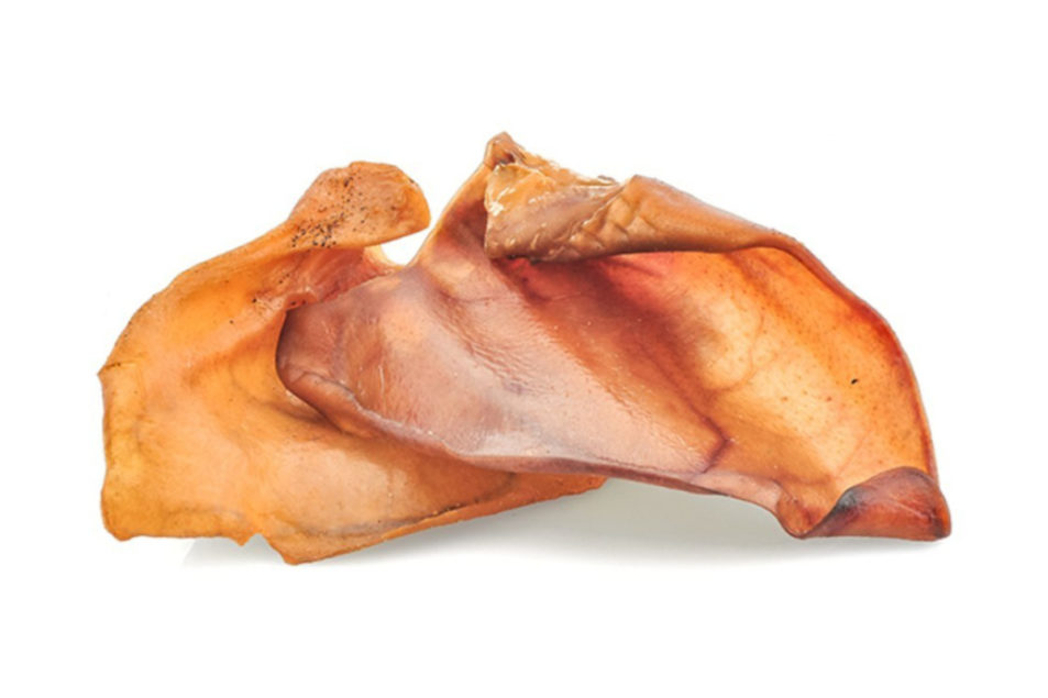 are pig ears bad for a saluki