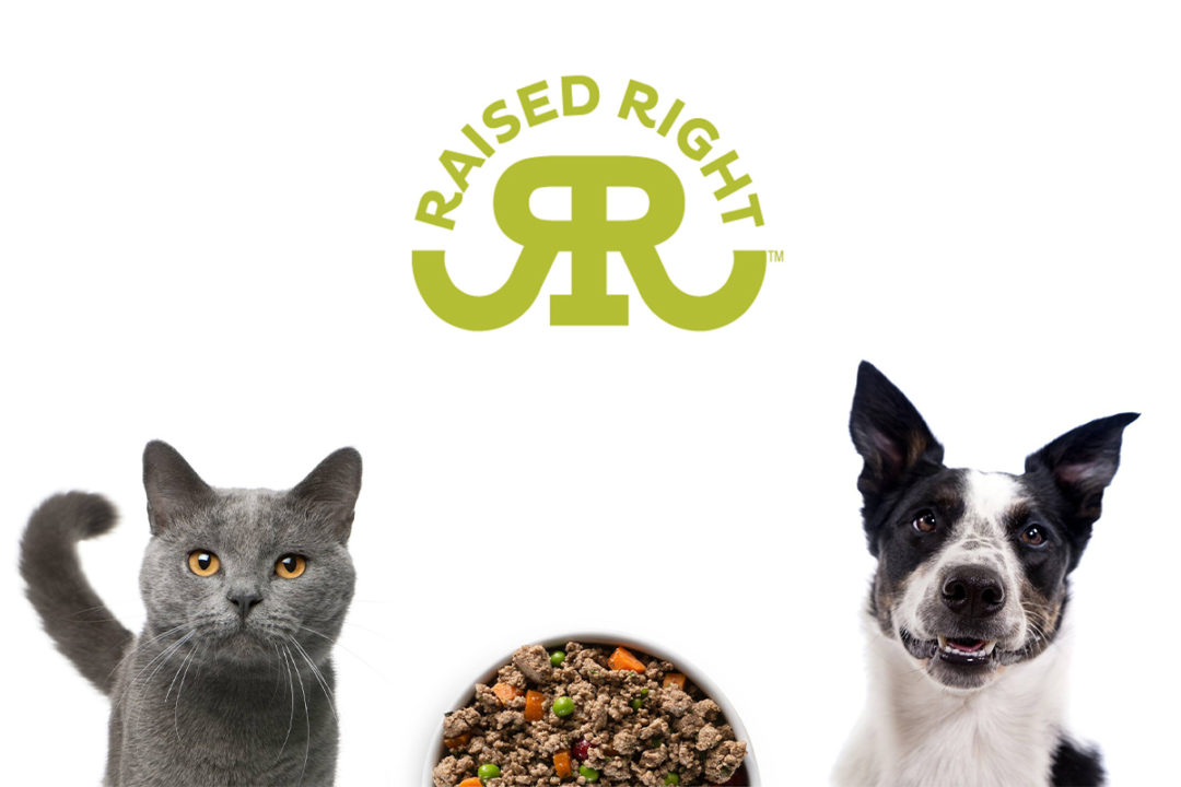Raised Right logo and image of cat and dog and food
