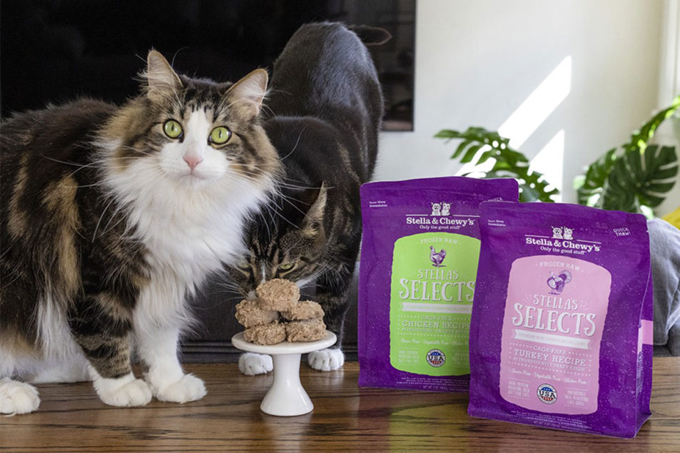 Stella & Chewy’s expands cat offerings with raw frozen diets 201905
