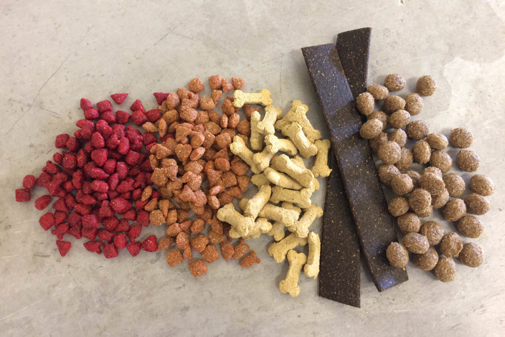 Treats from the 2018 TAMU Feed and Pet Food Extrusion Course