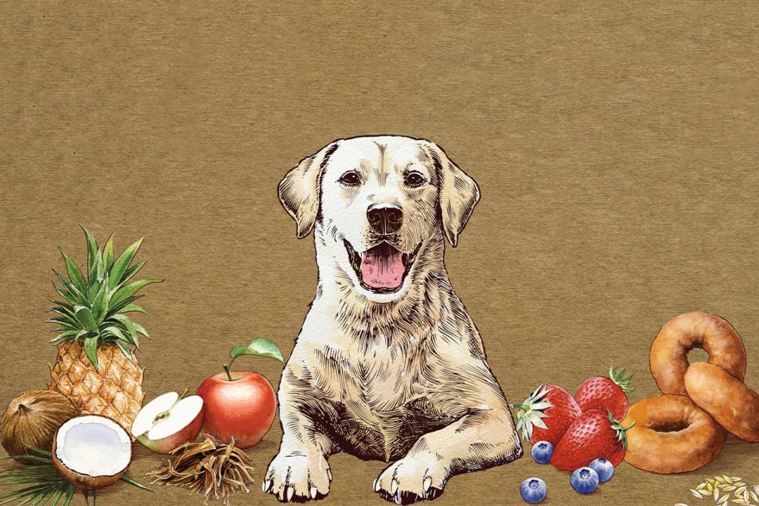 The Pound Bakery's Paws Barkery brand art