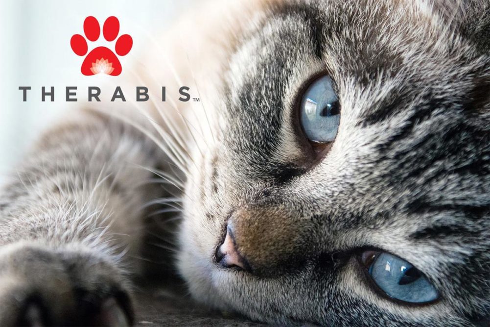 Close-up of cat and Therabis logo