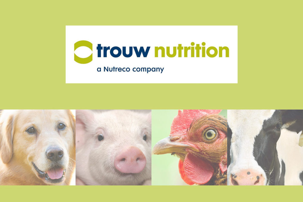 Trouw Nutrition logo and collage of animals (dog, pig, chicken and cow) on lime green background