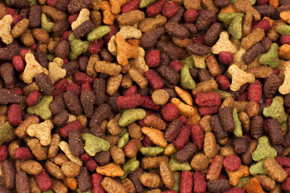 Dry kibble pet food (©STOCKR - STOCK.ADOBE.COM)