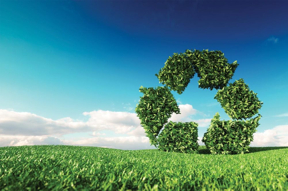 Large green recycling sign formed from leaves sitting on open grass field (©STOCKR - STOCK.ADOBE.COM)
