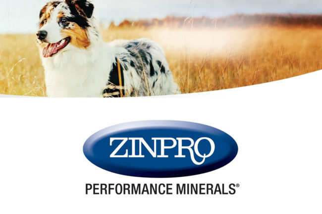 Dog and Zinpro logo